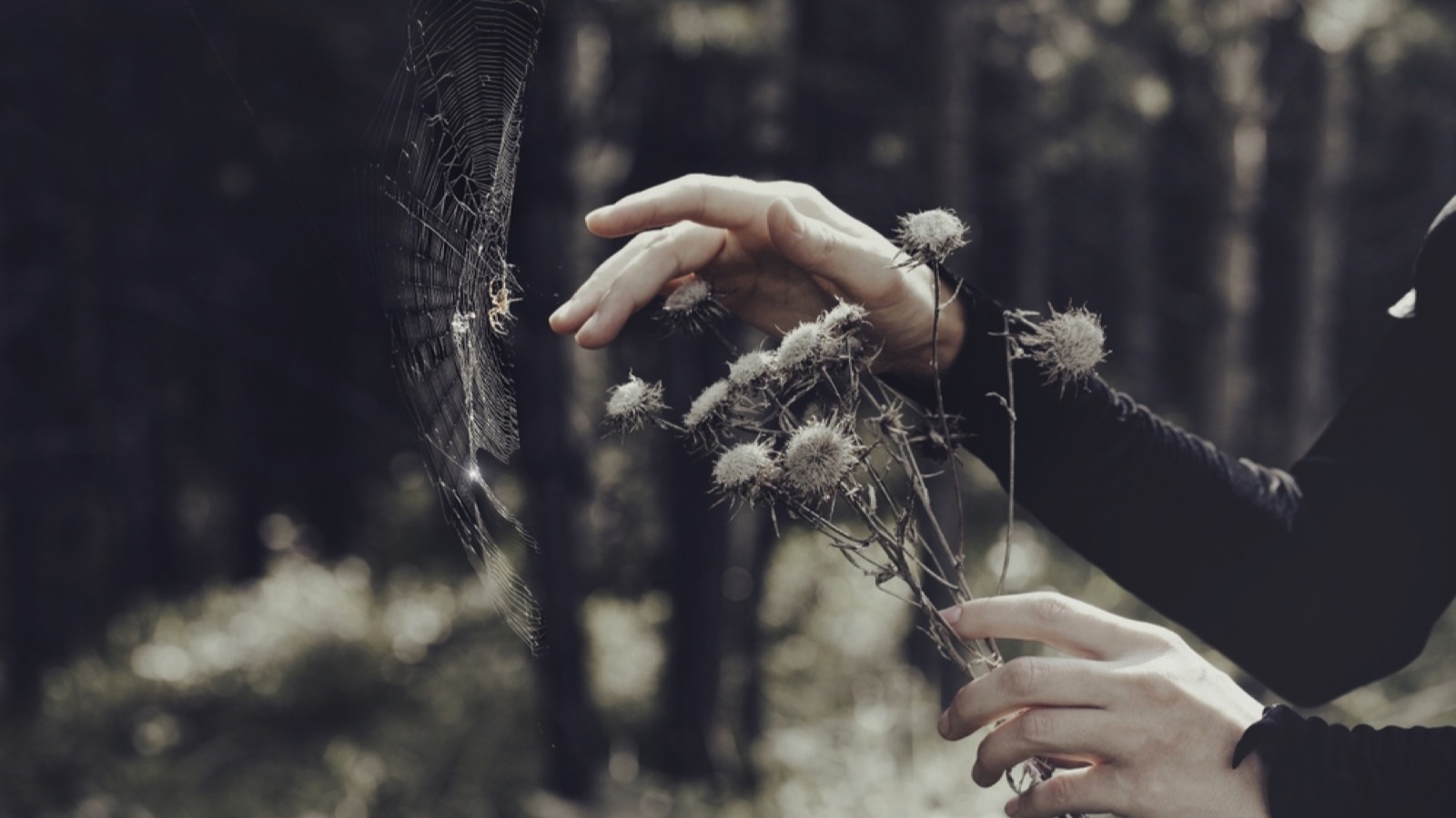 Debunked: The Biggest Myths About the Middle Ages 195 Witchcraft