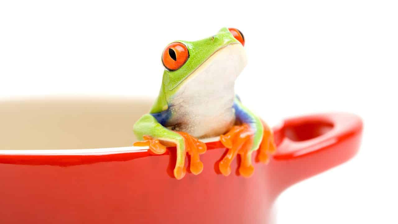 These Facts are Undisputed by Scientists - But Public Opinion Still Debates 43 frog ss - These Facts are Undisputed by Scientists - But Public Opinion Still Debates